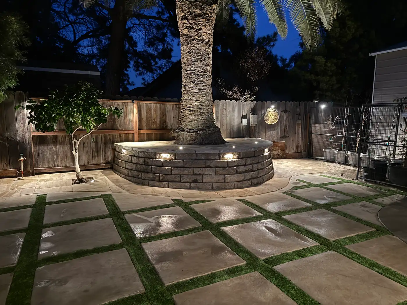 Warm lighting on sculpted trees beside a geometric patio at night