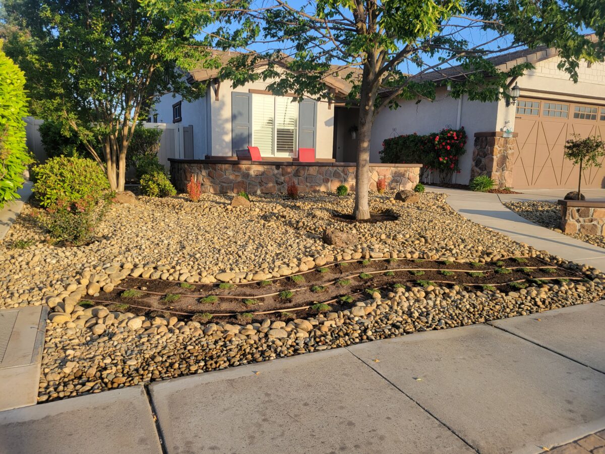 Beautiful hardscape low water landscape Manteca ca - Silvertree Landscaping